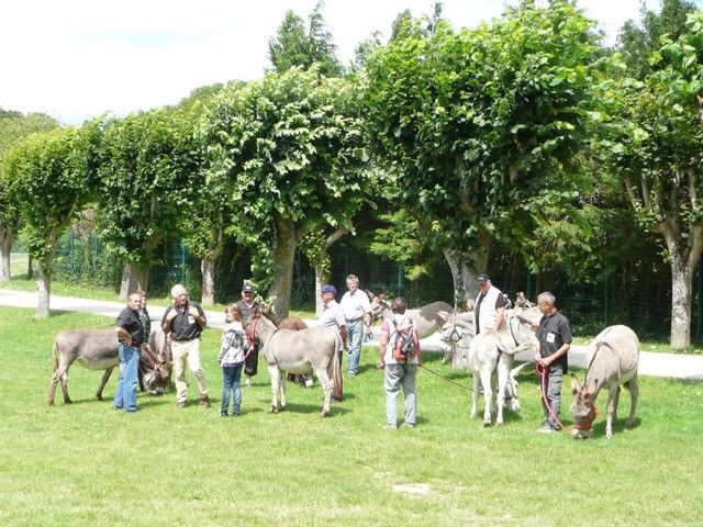 Le Parc 19 juillet 2012 (11).jpg